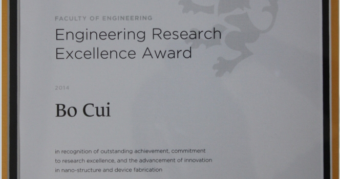Engineering Research Excellence Award