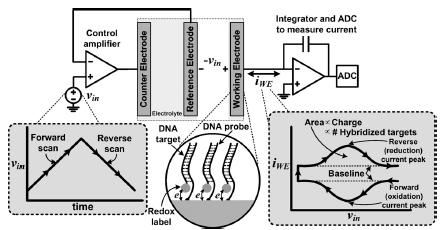 biochip1