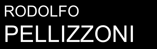 Rodolfo Pellizzoni's home page